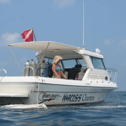 Daily Dive Charters Aboard the Narcosis