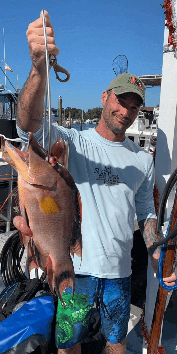 Spearfishing for Hogfish
