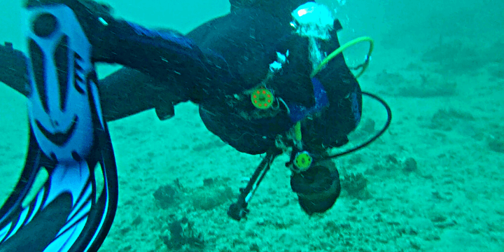 Buoyant Upside Down SCUBA Diver