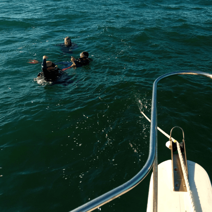 Divers in the Water off the Bow of the Narcosis 720x720